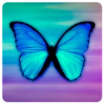 butterfly wallpapers android application logo